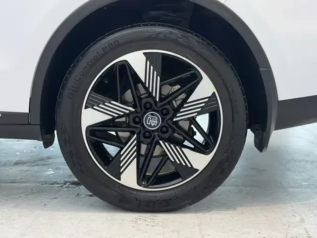 BYD Tang DM DM-i Champion Edition 112KM Prestige Edition 2024 — миниатюра 5
