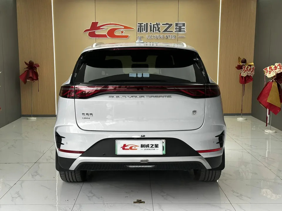 BYD Tang DM Honor Edition DM-i 112KM Flagship 2024 — миниатюра 2