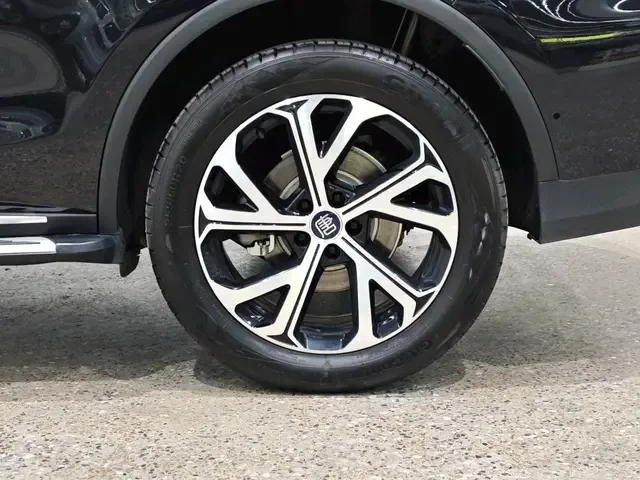 BYD Tang DM Intelligent Driving Edition DM-i 115KM Premium Edition 2025 — миниатюра 3