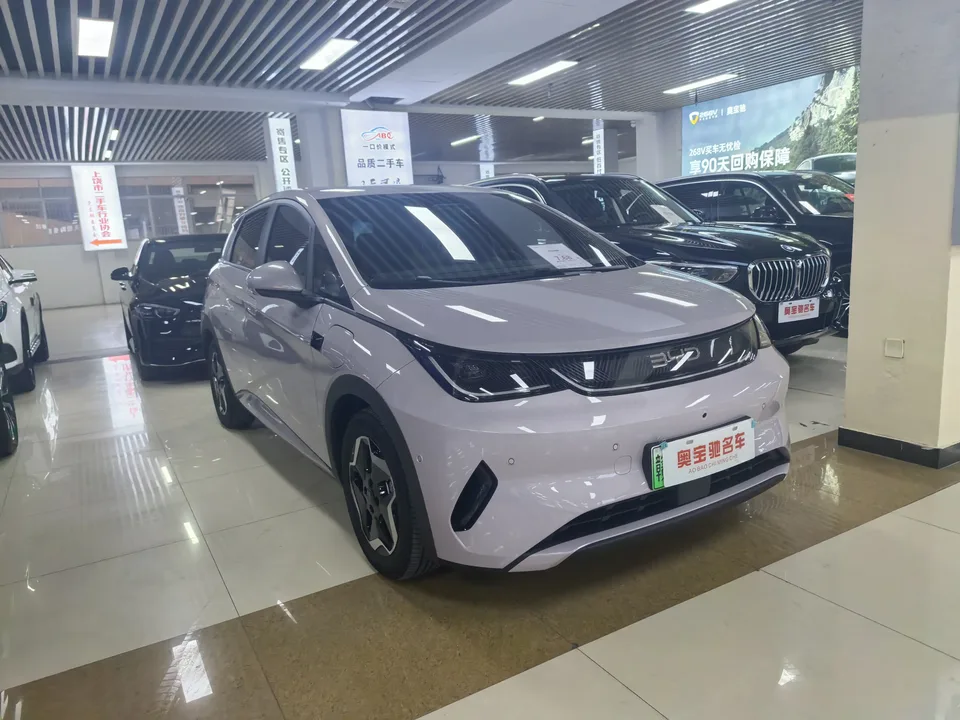 BYD Dolphin Smart Driving Edition 420KM Freedom Edition 2025 — миниатюра 3