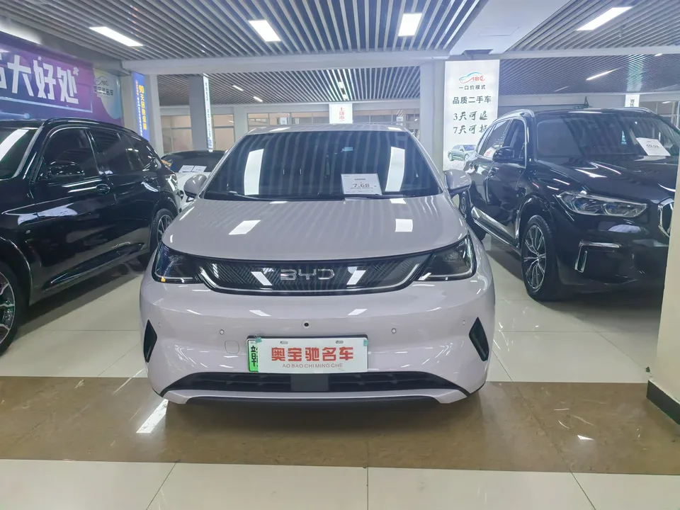 BYD Dolphin Smart Driving Edition 420KM Freedom Edition 2025 — фото 1, купить с доставкой в Москву