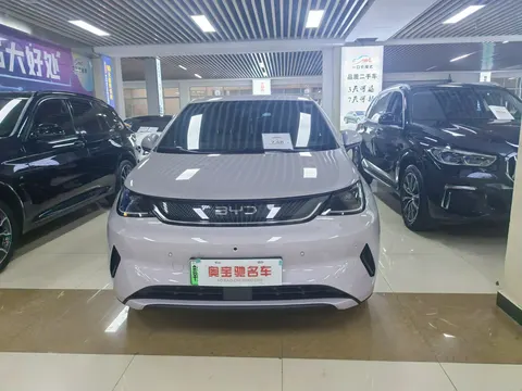BYD Dolphin 2025 buy in Moscow