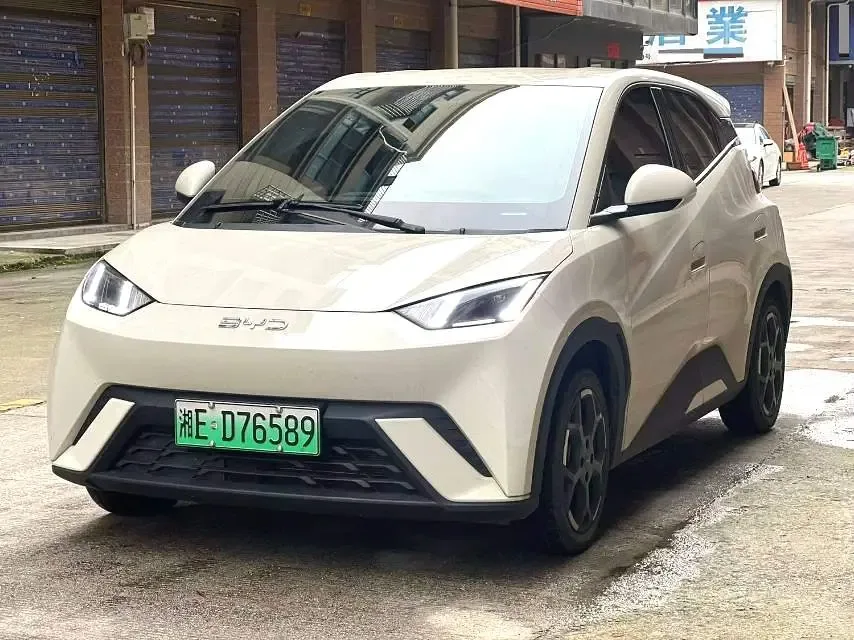 BYD Seagull Seagull 2024 Honor Edition 405KM Flying Edition 2024 — photo 1, buy with delivery to Moscow