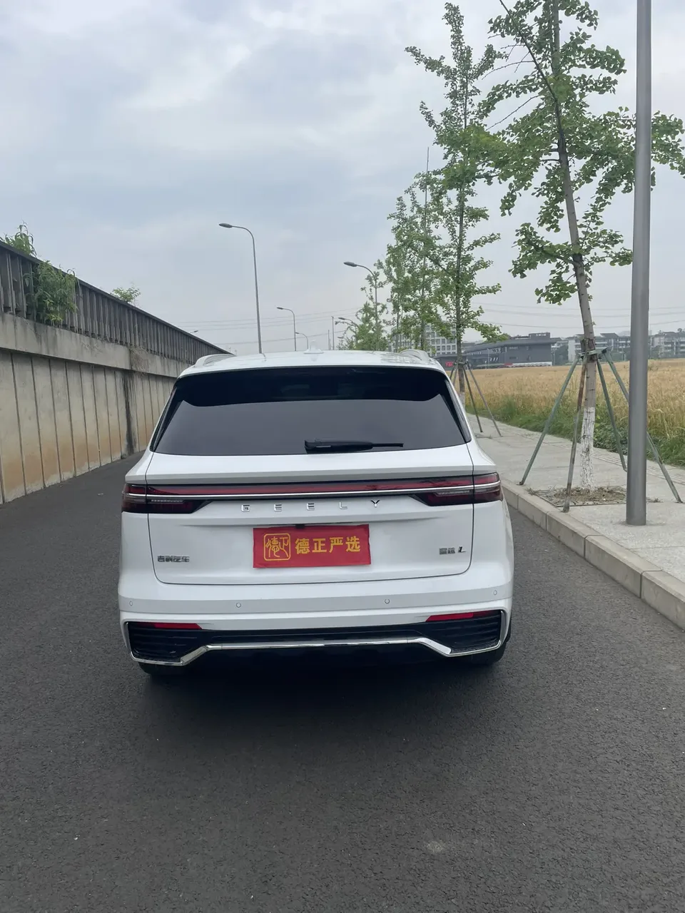 Geely Monjaro 2.0TD DCT EVO 2WD Smart Edition 2023 — миниатюра 2