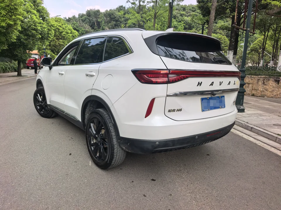 Haval H6 third generation 2.0T automatic four-wheel drive Max version 2023 — миниатюра 4