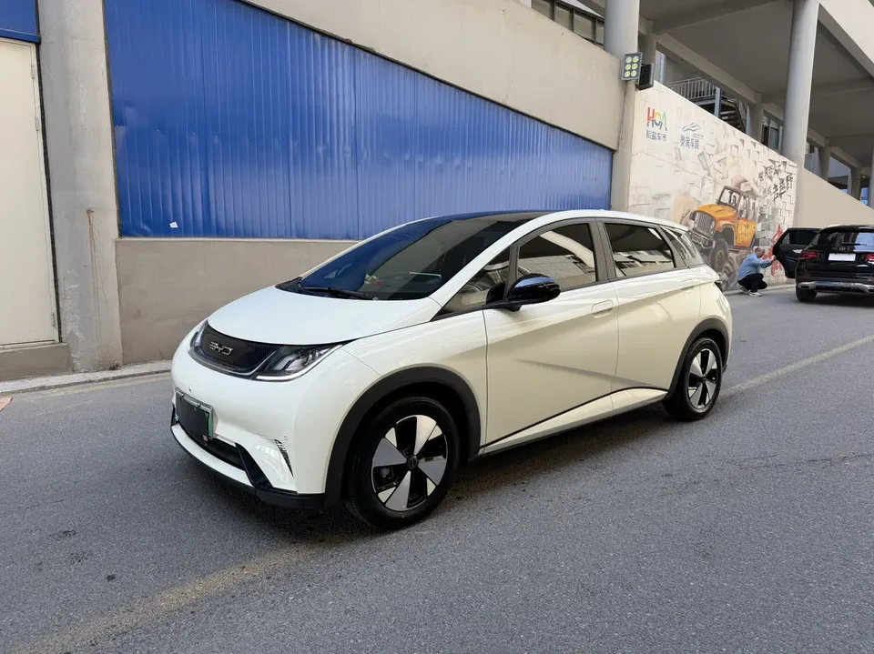 BYD Dolphin 2024