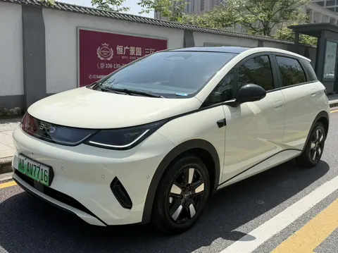 BYD Dolphin 2025 buy in Moscow
