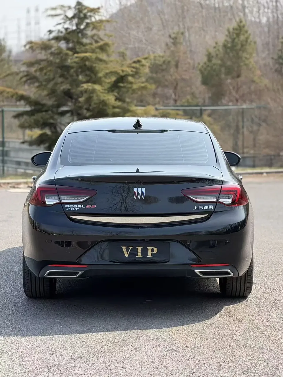 Buick Majesty Regal 2024 25T Super Edition 2024 — миниатюра 2