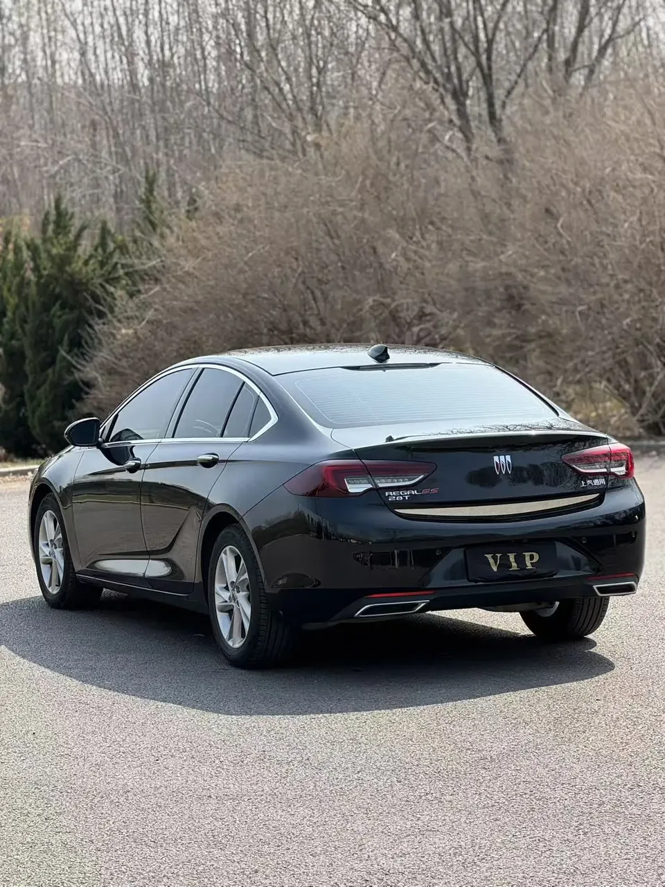 Buick Majesty Regal 2024 25T Super Edition 2024 — миниатюра 4