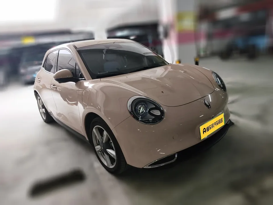 ORA Euler good cat Euler good cat 2023 401km standard endurance luxury lithium iron phosphate 2024 — thumbnail 2