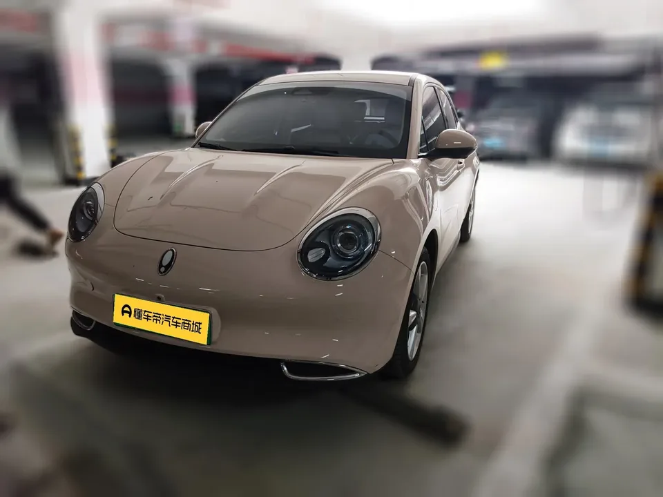 ORA Euler good cat Euler good cat 2023 401km standard endurance luxury lithium iron phosphate 2024 — photo 1, buy with delivery to Moscow