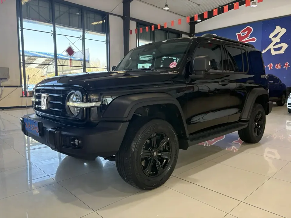 Tank 300 300 2023 Tank 300 2023 off-road version 2.0T Challenger 2023 — photo 1, buy with delivery to Moscow