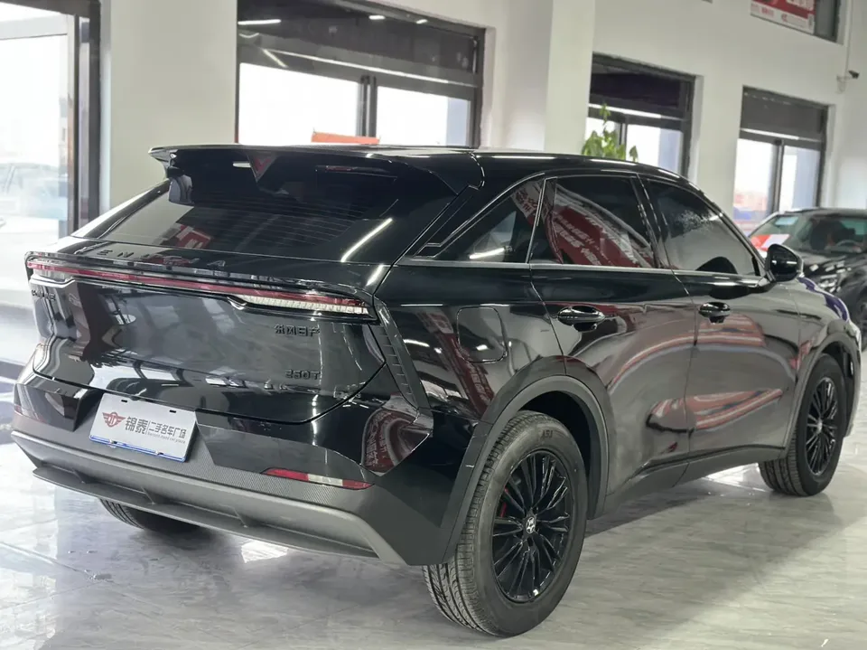 Kai Chen Venucia Big V 260T Dark Horse EditionIdol 2023 — миниатюра 4