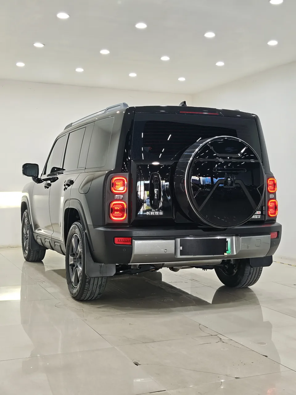 Haval Raptors PHEV 1.5T Hi4 102 Exploration Edition 2024 — миниатюра 4