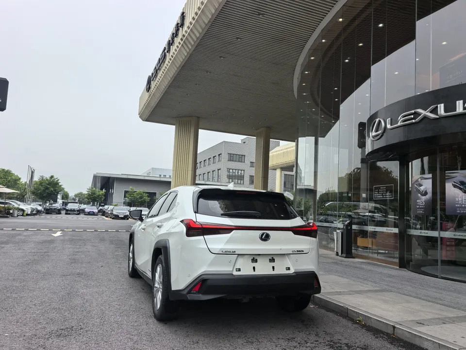 Lexus UX Lexus UX 2020 260h Exploration and Fun Edition Country VI 2022 — миниатюра 2