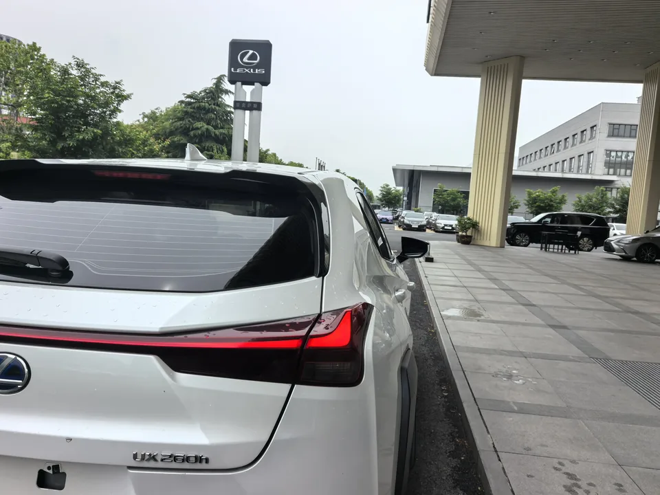 Lexus UX Lexus UX 2020 260h Exploration and Fun Edition Country VI 2022 — миниатюра 3