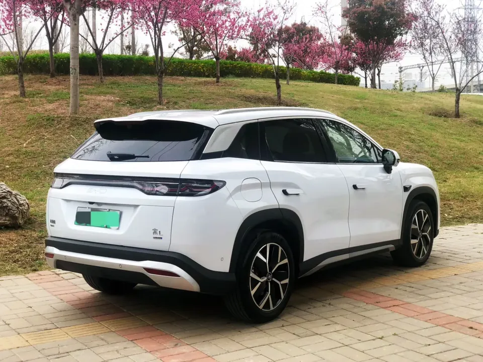 BYD Song L DM Intelligent Driving Edition DM-i 160KM Beyond Edition 2025 — миниатюра 2