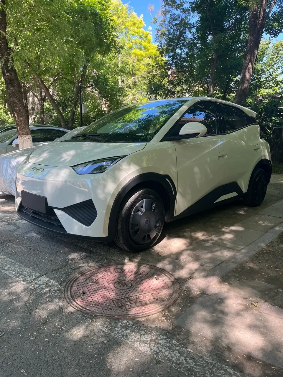 BYD Seagull seagull 2025 Smart Driving Edition 305KM Vitality Edition 2026 — фото 1, купить с доставкой в Москву
