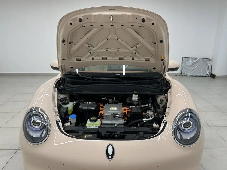ORA Euler good cat 401km Premium 126kW 2024 — миниатюра 3