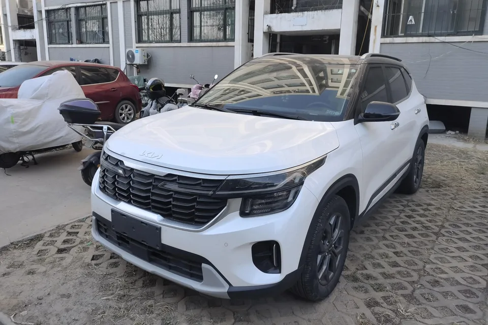 Kia Seltos CYLTUS 1.5L IVT Luxury Edition 2023 — фото 1, купить с доставкой в Москву