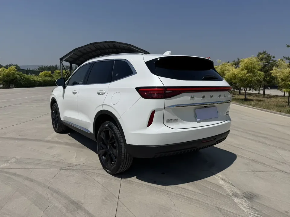 Haval H6 third generation 2.0T automatic four-wheel drive Max version 2022 — миниатюра 2