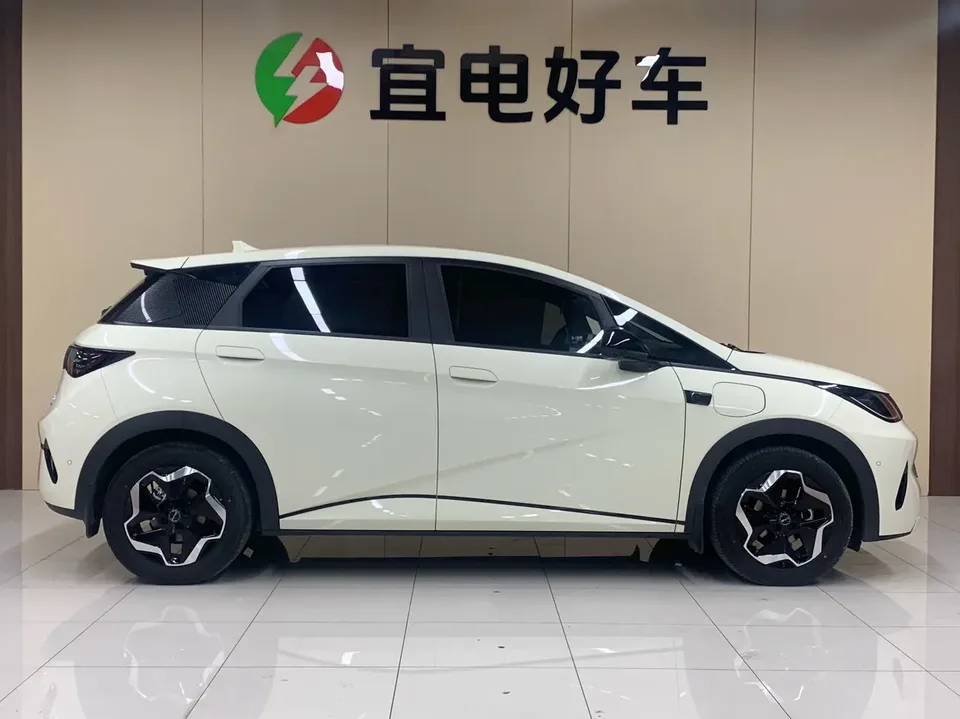 BYD Dolphin Smart Driving Edition 420KM Freedom Edition 2025 — миниатюра 4
