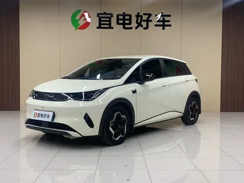 BYD Dolphin 2025 buy in Moscow