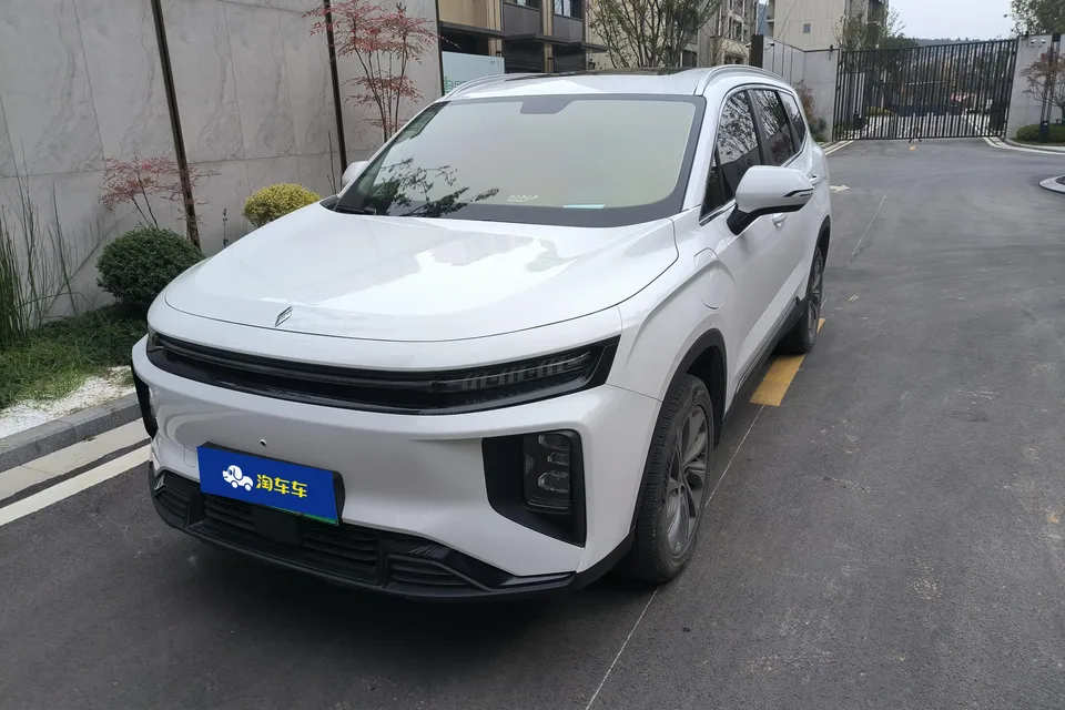 Ruilan Rui Lan 9 2023