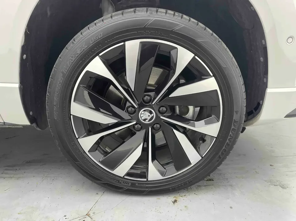 Skoda Karoq TSI280 Luxury Edition 2022 — миниатюра 2