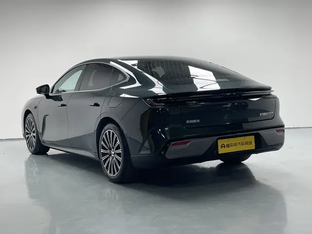Geely Galaxy Star 8 PHEV 130km EM-P Starship Edition 2025 — миниатюра 4