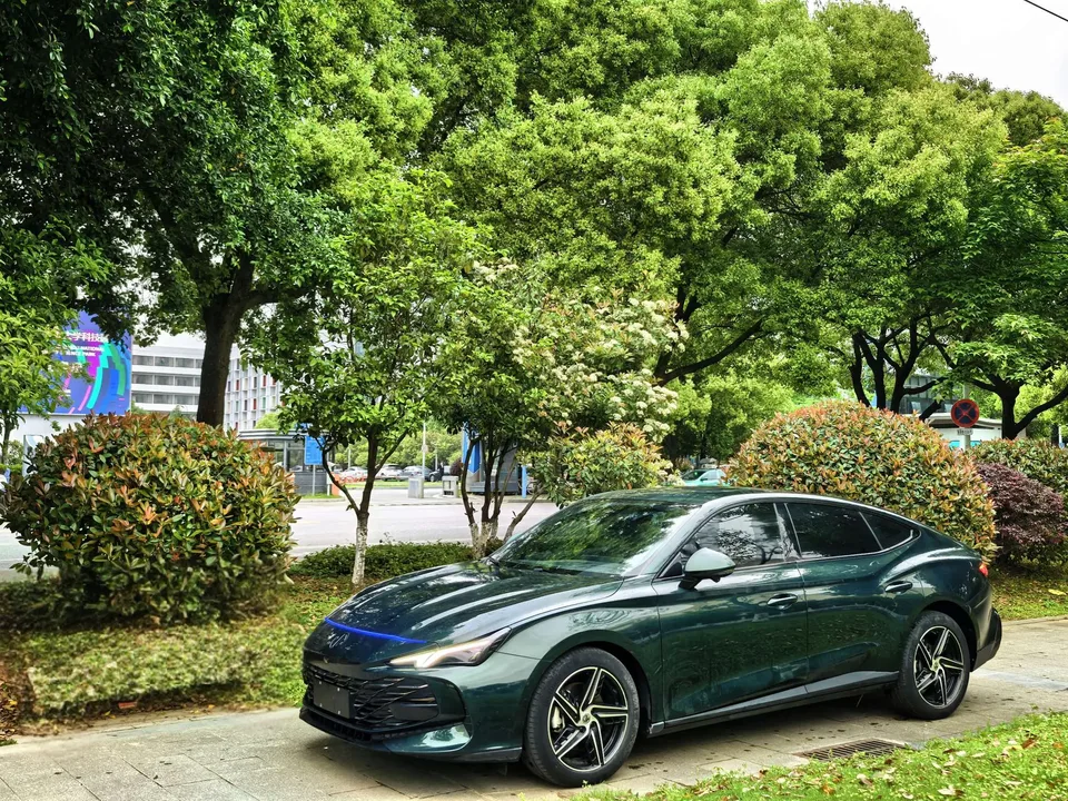 MG 7 2023