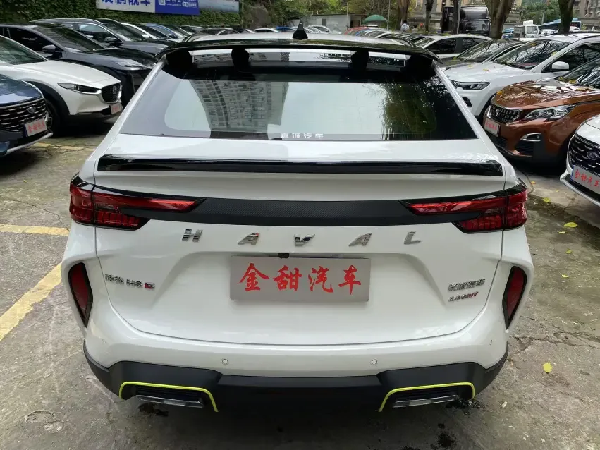 Haval H6S Haval H6S 2022 2.0T Smart Edition 2022 — миниатюра 5