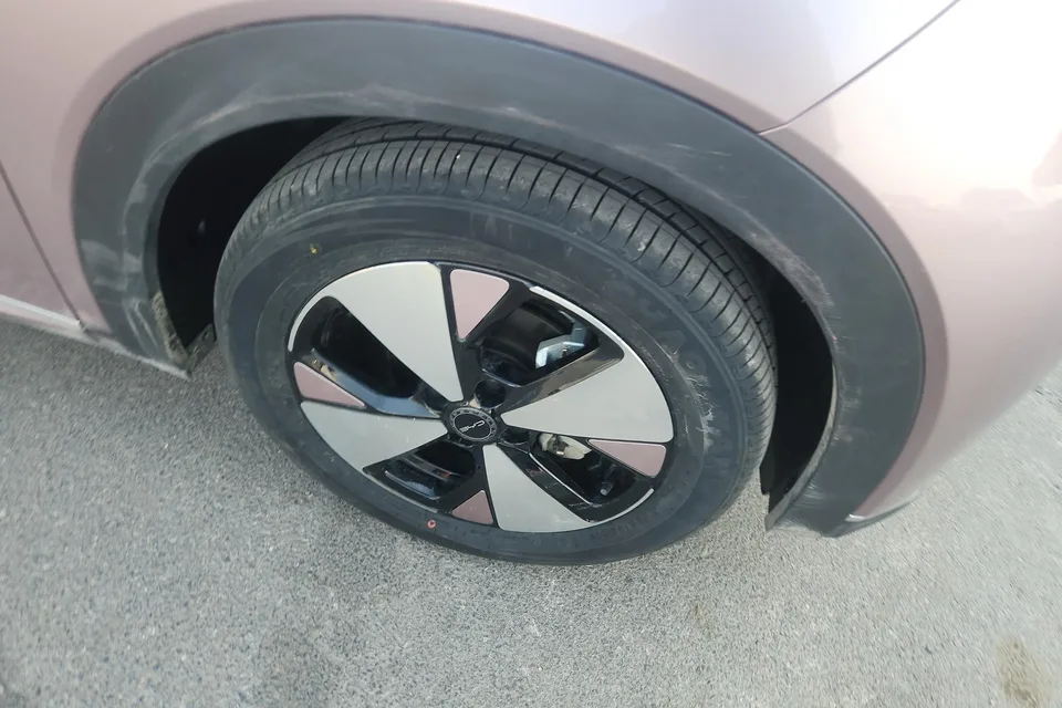BYD Dolphin Dolphin 2023 Fashion Edition 2024 — миниатюра 4