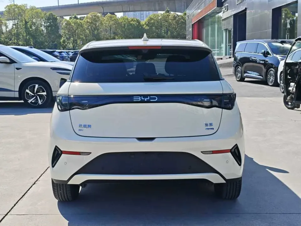 BYD Dolphin Smart Driving Edition 410KM Fashion Edition 2025 — миниатюра 2