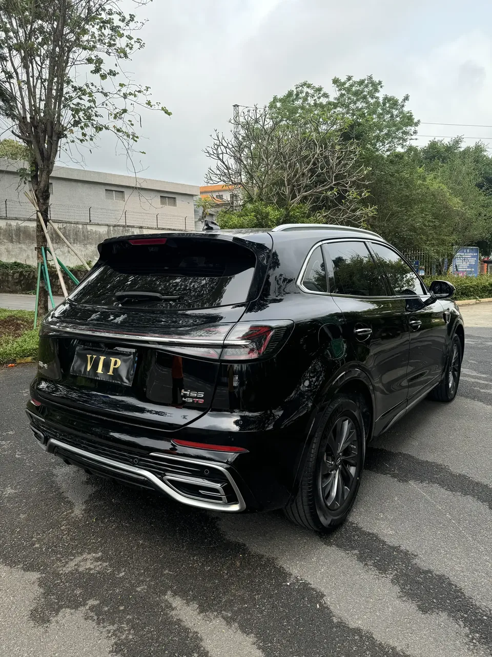Hongqi HS5 2.0T Flagship Pro 500,000th Commemorative Edition 2024 — миниатюра 2