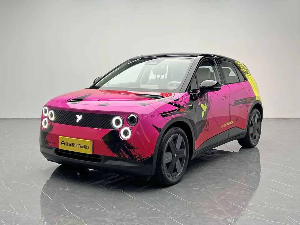Firefly firefly firefly 2025 Luminous version 2025 — photo 1, buy with delivery to Moscow
