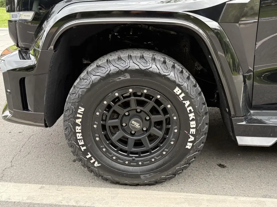 Tank 300 Tank 300 2023 off-road version 2.0T Challenger 2023 — миниатюра 3