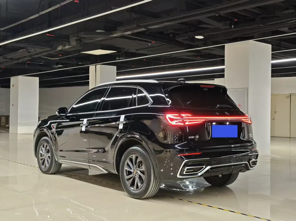 Hongqi HS5 2.0T Flagship Pro Edition 2024 — миниатюра 4
