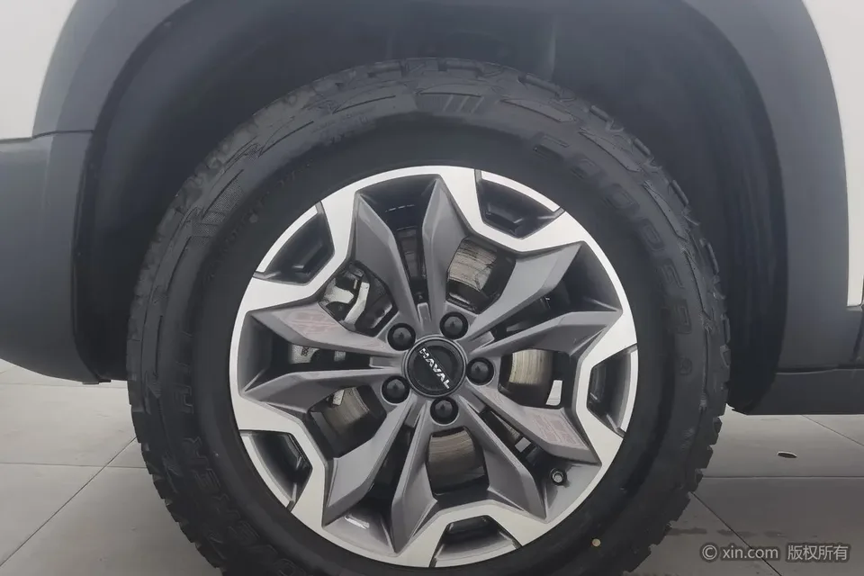Haval Dargo Haval Big Dog 2024 2.0T four-wheel drive Chinese pastoral dog version 2024 — миниатюра 2
