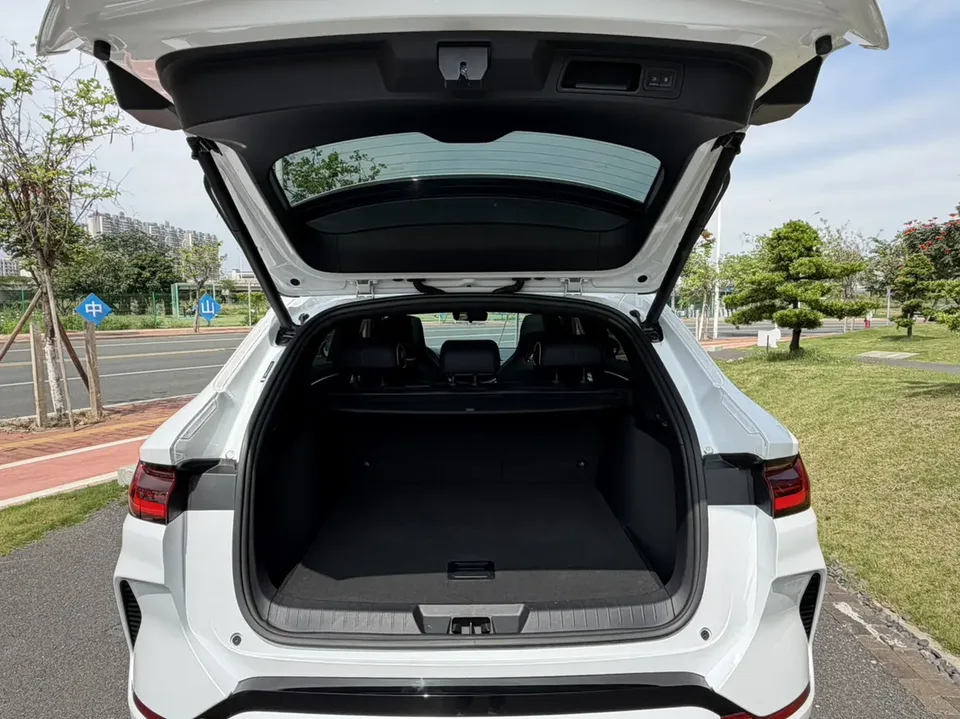 BYD Song PLUS EV Champion Edition 520KM Premium 2023 — миниатюра 4