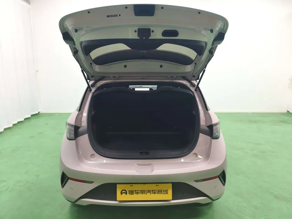 BYD Dolphin Smart Driving Edition 410KM Fashion Edition 2025 — миниатюра 4