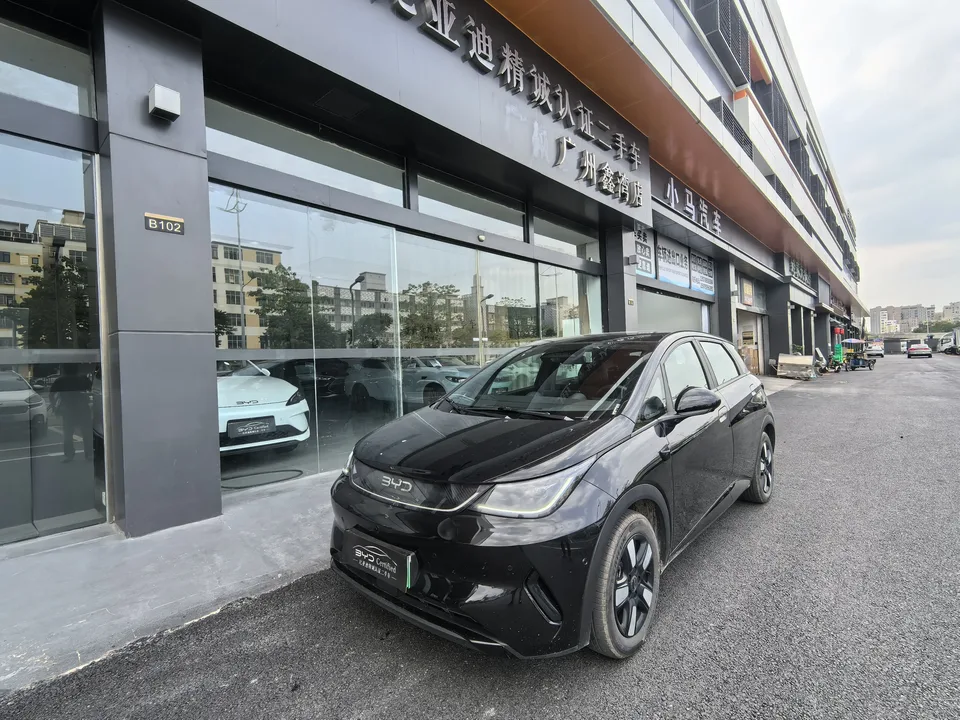 BYD Dolphin 2025
