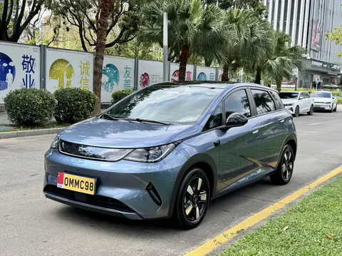 BYD Dolphin 2025 buy in Moscow