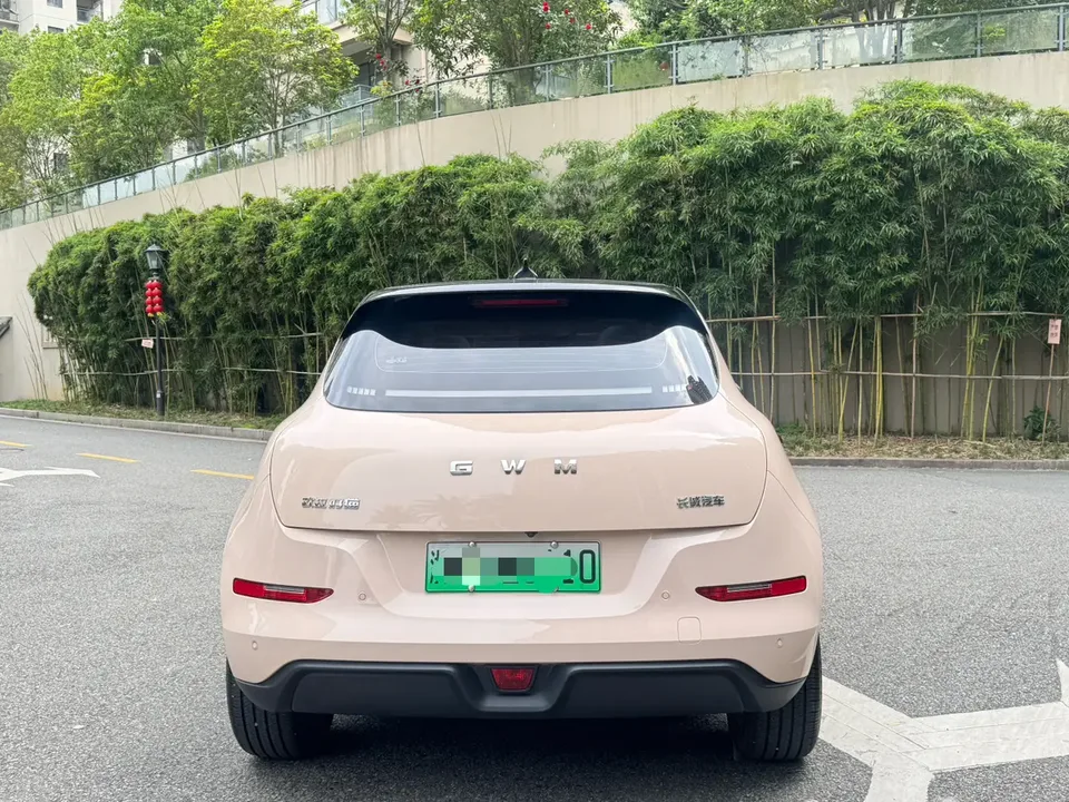 ORA Euler good cat 401km Luxury Model 2025 — миниатюра 5