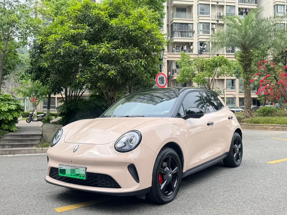ORA Euler good cat 401km Luxury Model 2025 — фото 1, купить с доставкой в Москву