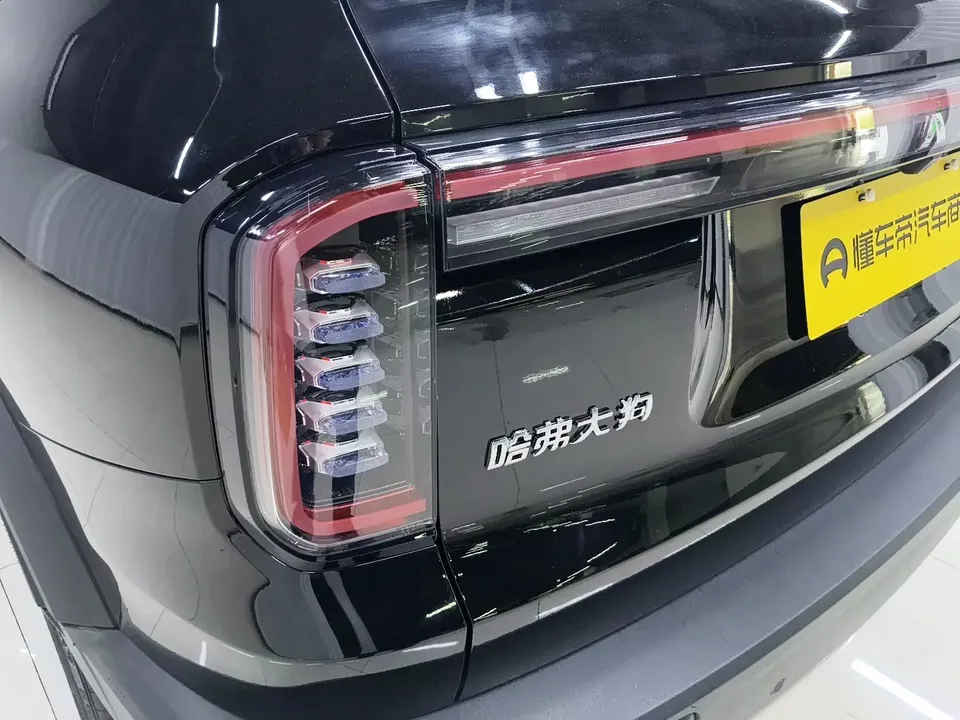 Haval Dargo Haval Big Dog 2024 1.5T 2WD Border Collie Edition 2023 — миниатюра 4