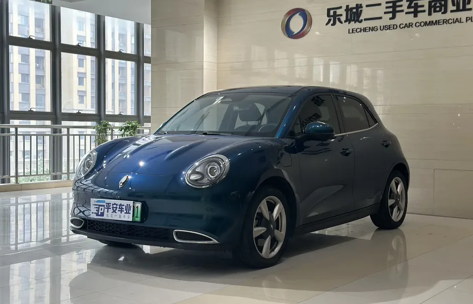 ORA Euler good cat Euler good cat 2023 401km standard endurance luxury lithium iron phosphate 2023 — photo 1, buy with delivery to Moscow