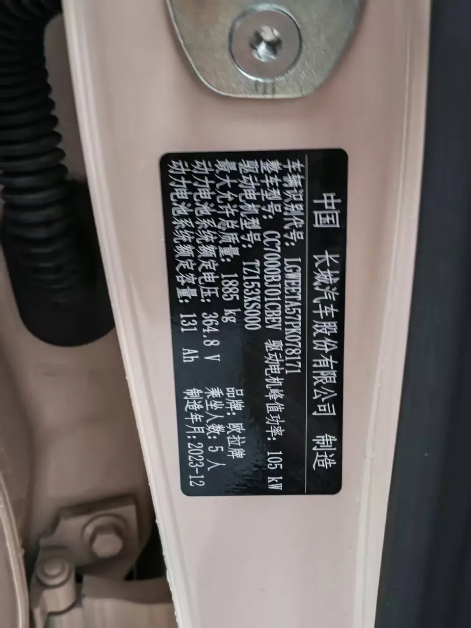 ORA Euler good cat 401km standard range luxury lithium iron phosphate 2024 — миниатюра 2