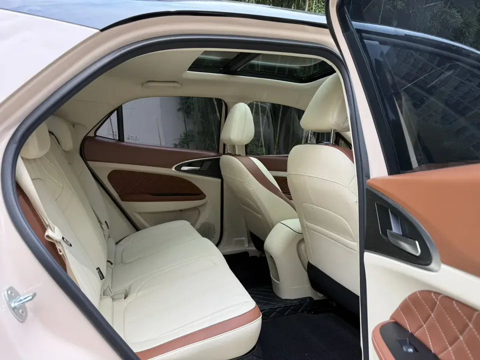 ORA Euler good cat 430km Premium Edition 2025 — миниатюра 4
