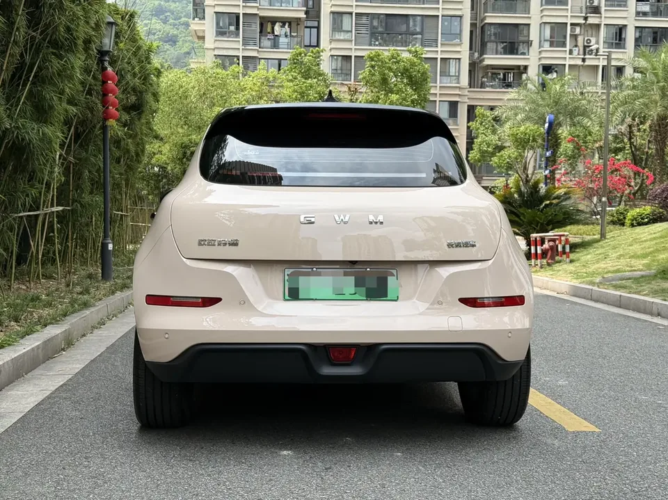 ORA Euler good cat 430km Premium Edition 2025 — миниатюра 5